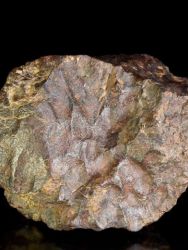 Meteorit Hah - 1,425 kg