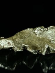 Meteorit