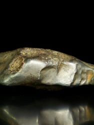 Meteorit