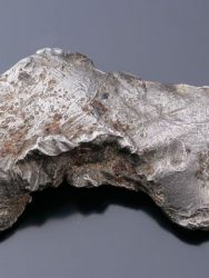 Meteorit