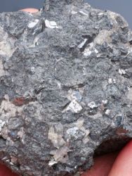 Argentit