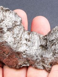 Meteorit