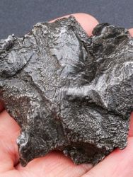 Meteorit